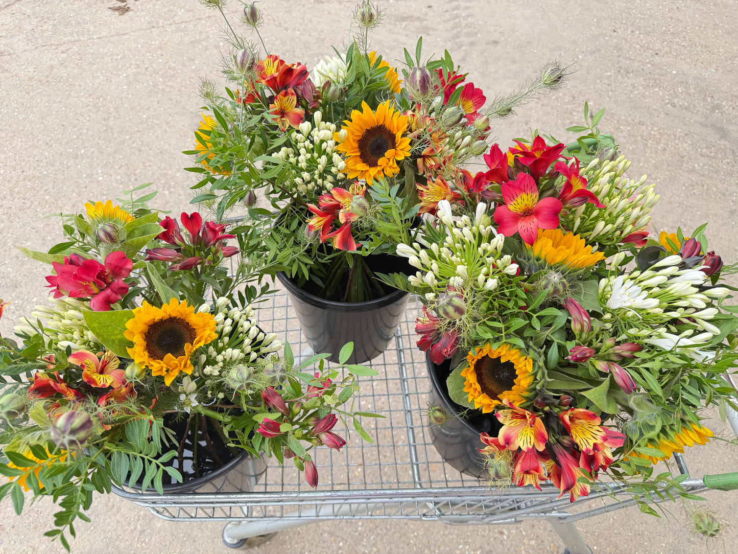 July Bouquets