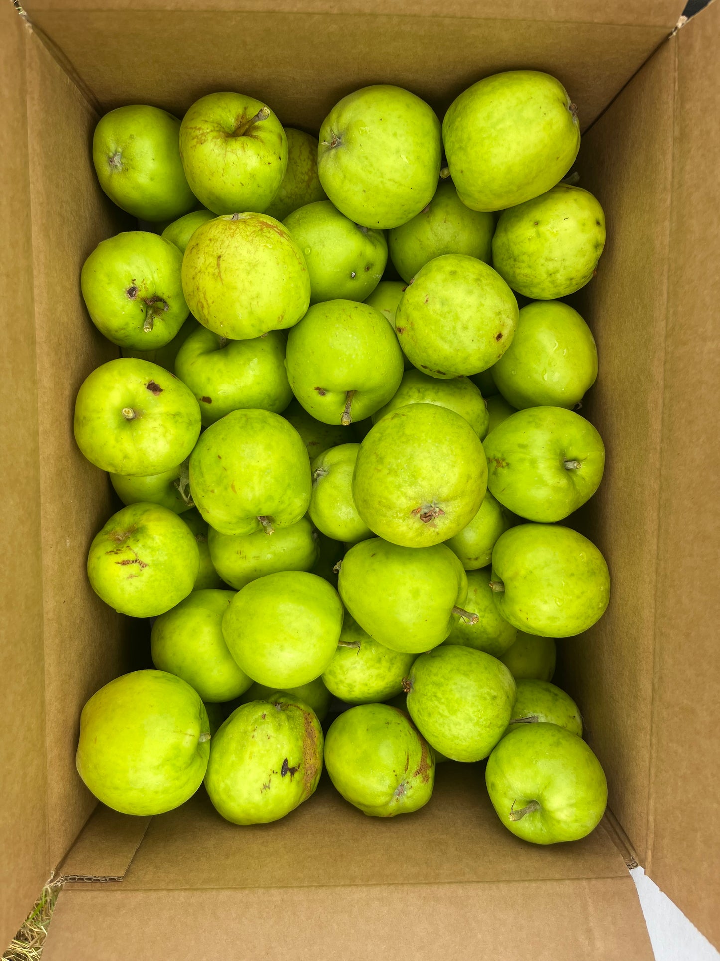 Box of Cooking Apples delivered