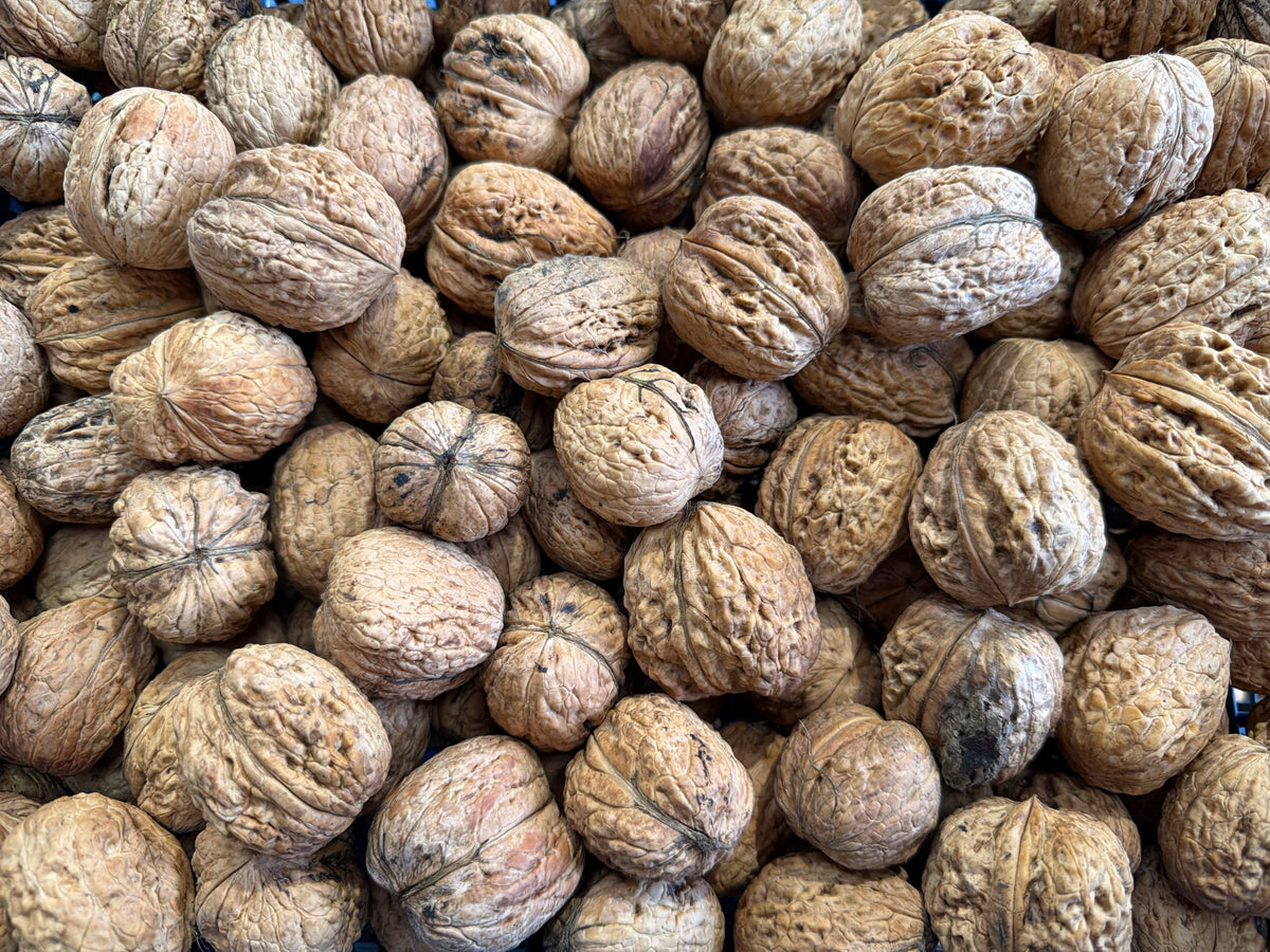 500g whole walnuts in shell.