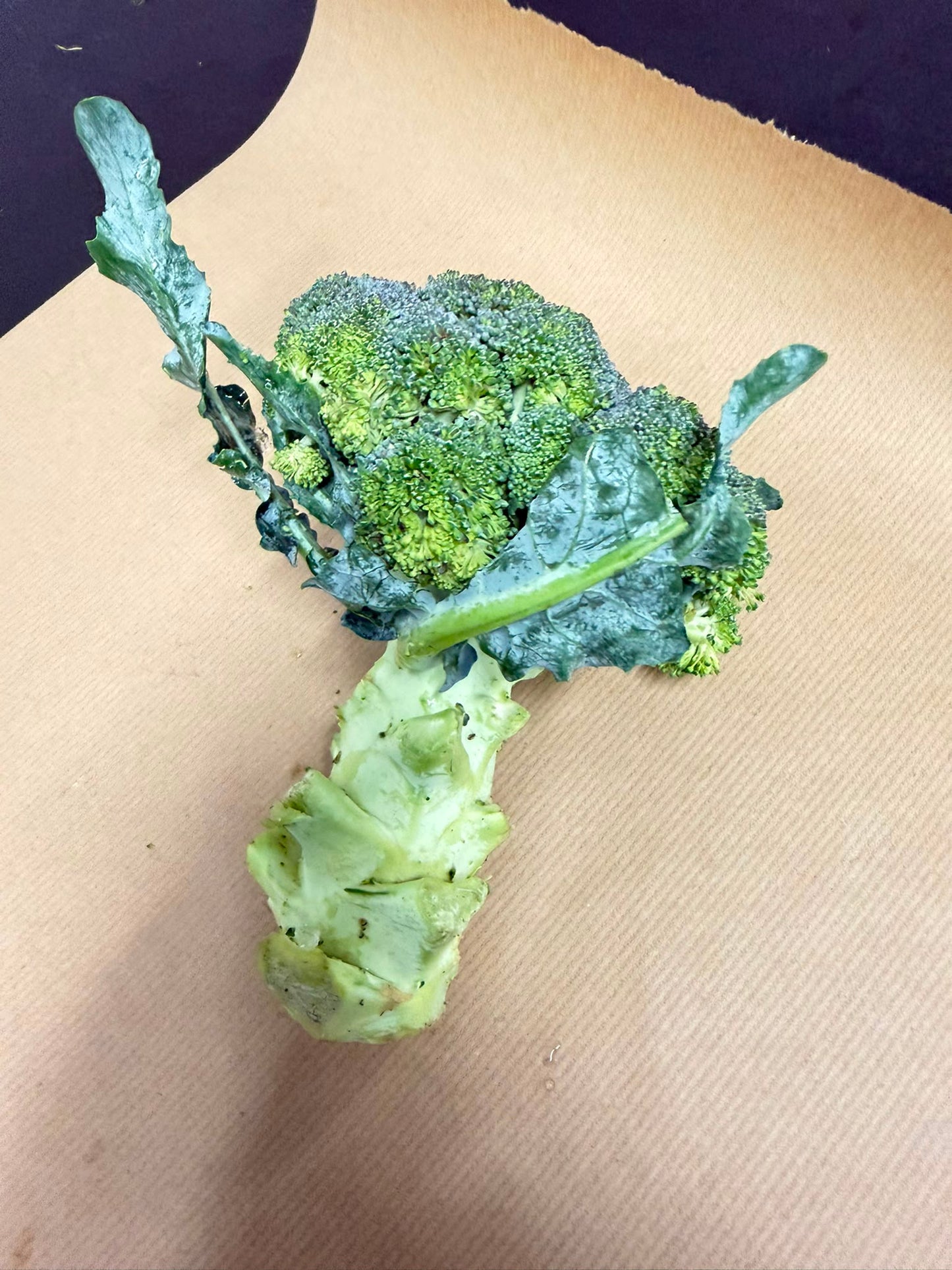 Broccoli Sprig