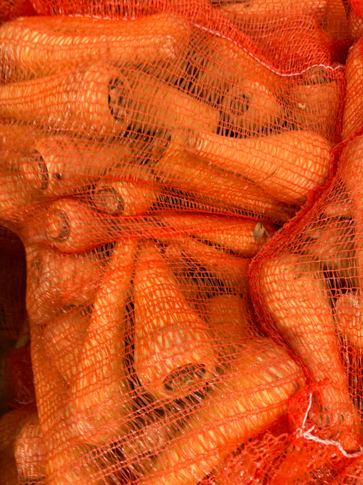 Parsnips