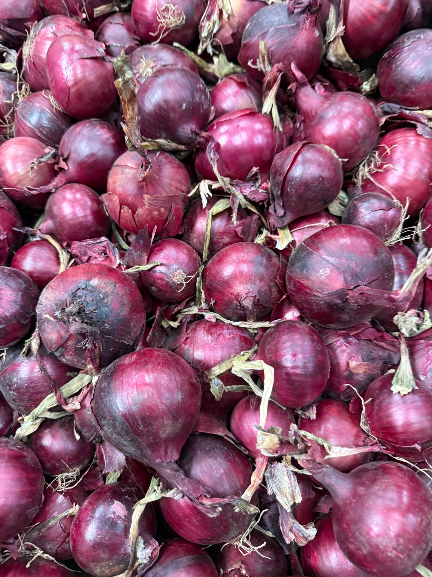 Onions