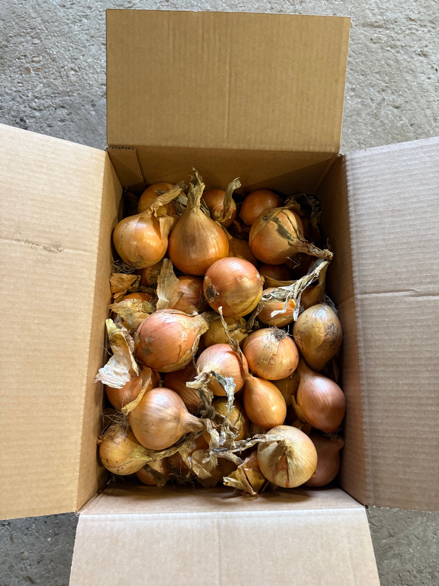 Box of onions