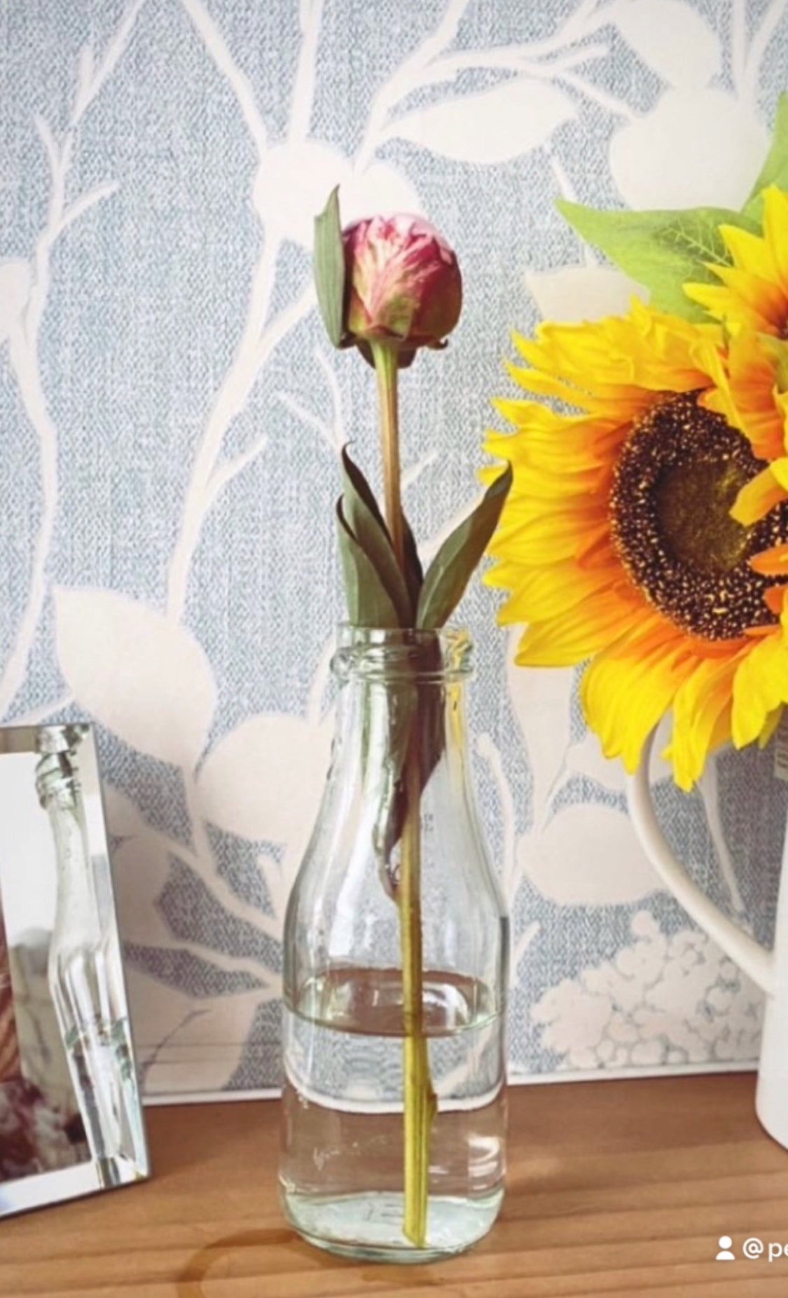 Single Postage Peonies