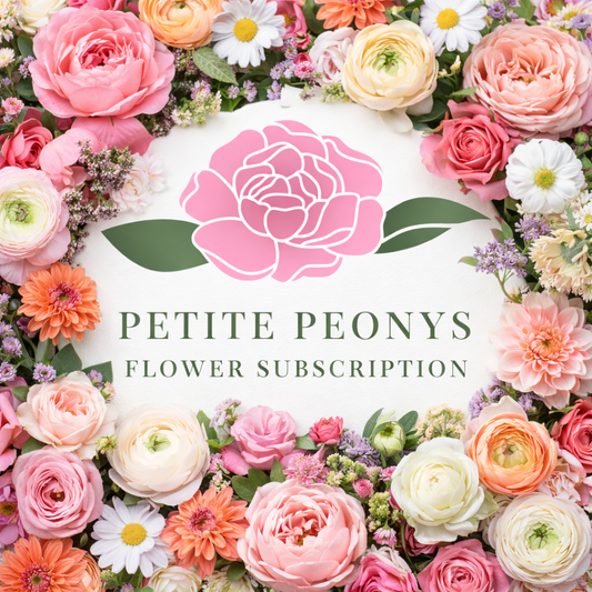 Flower Subscription By Sophia