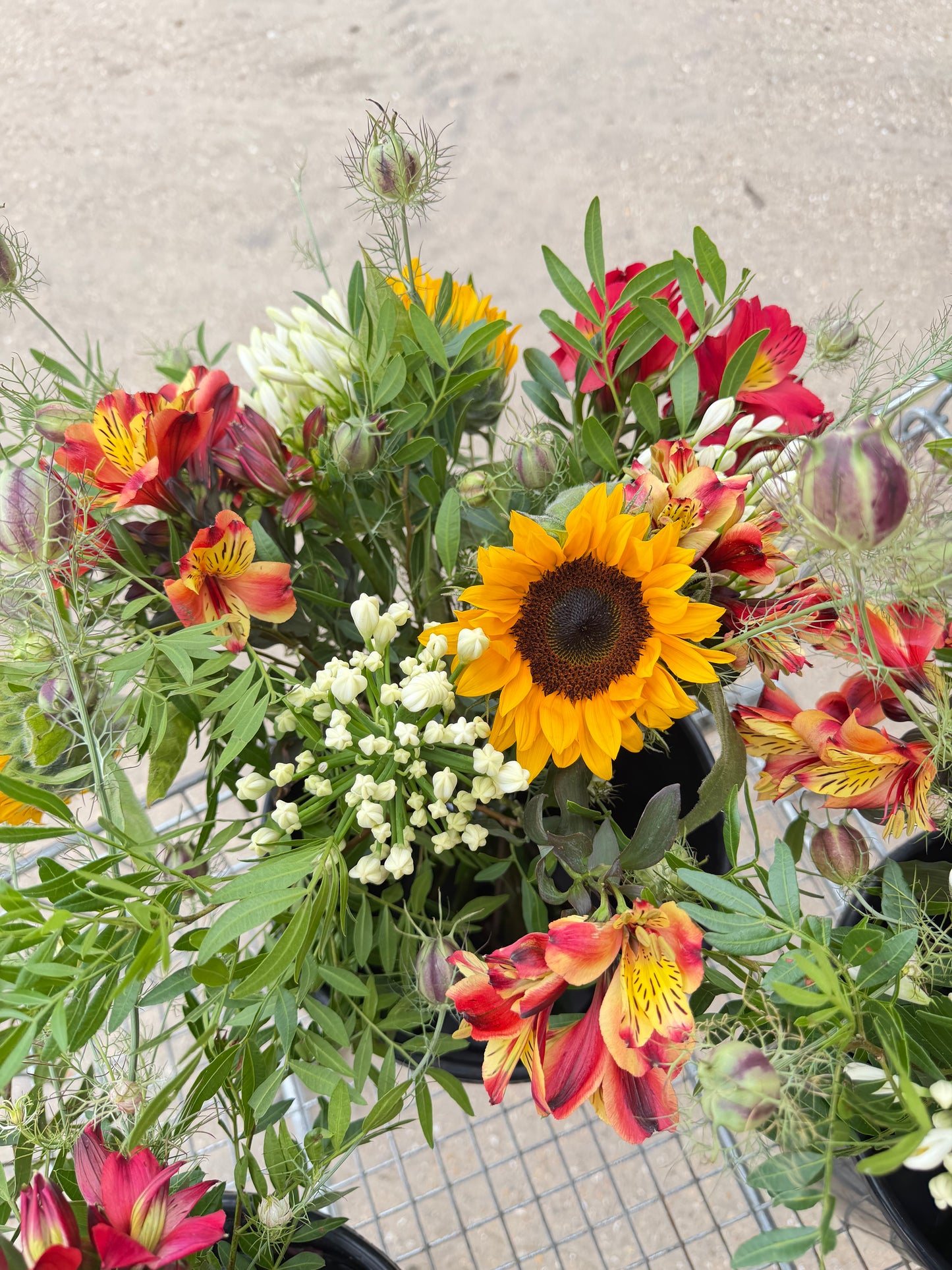 July Bouquets