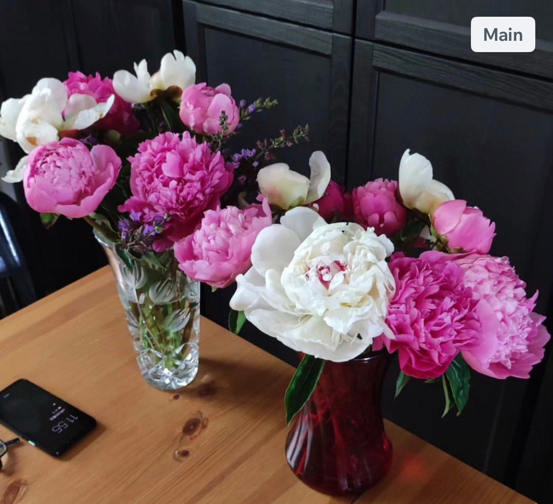 20 stem mixed box of peonies.