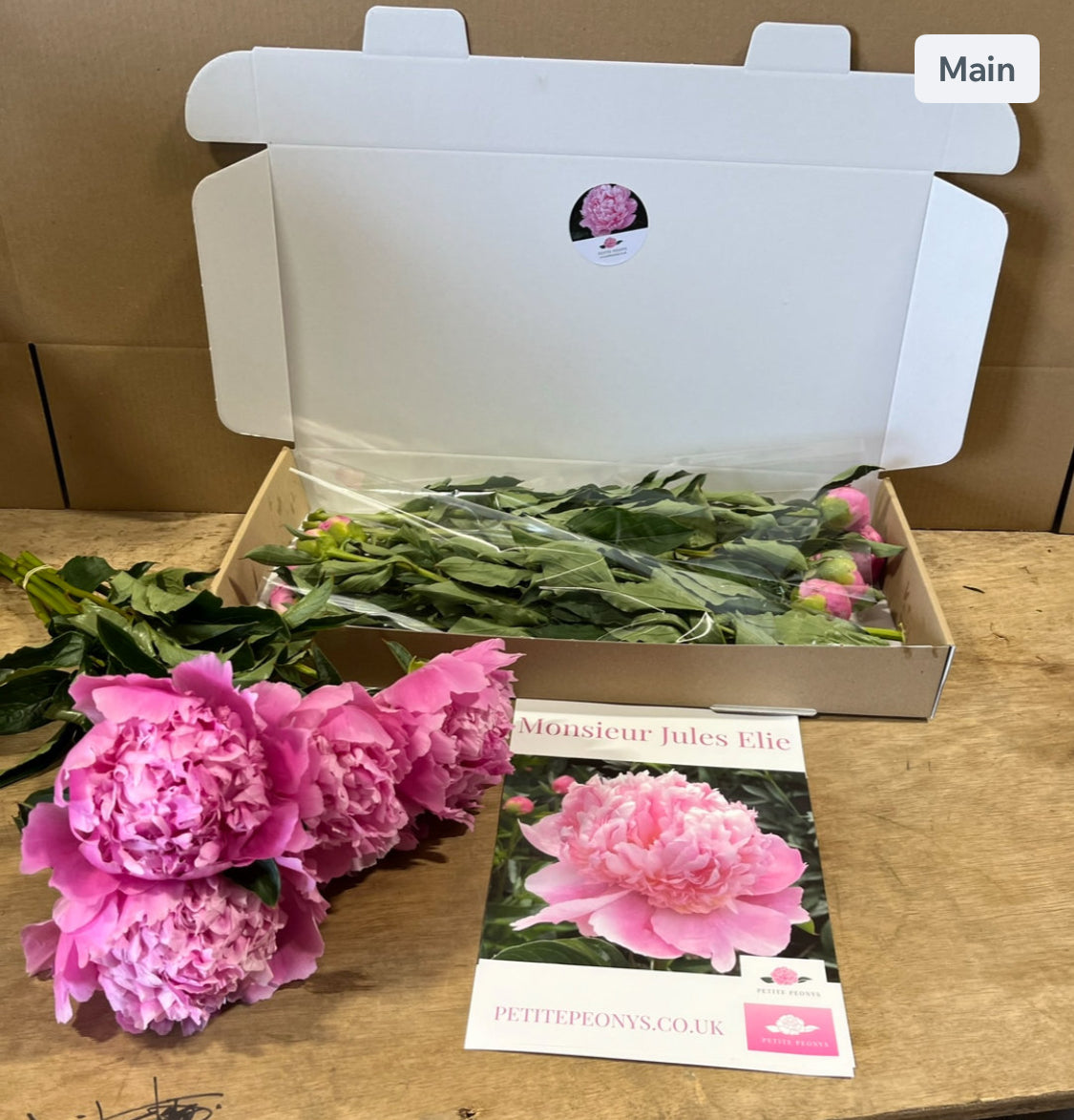 20 stem mixed box of peonies.