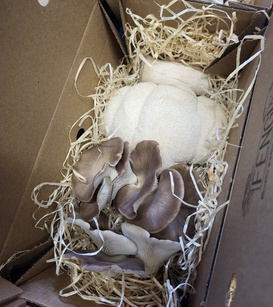 Mushroom gourmet box