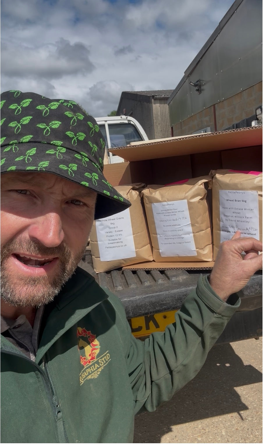 Sample bags of Wheat Grain, flour and bran