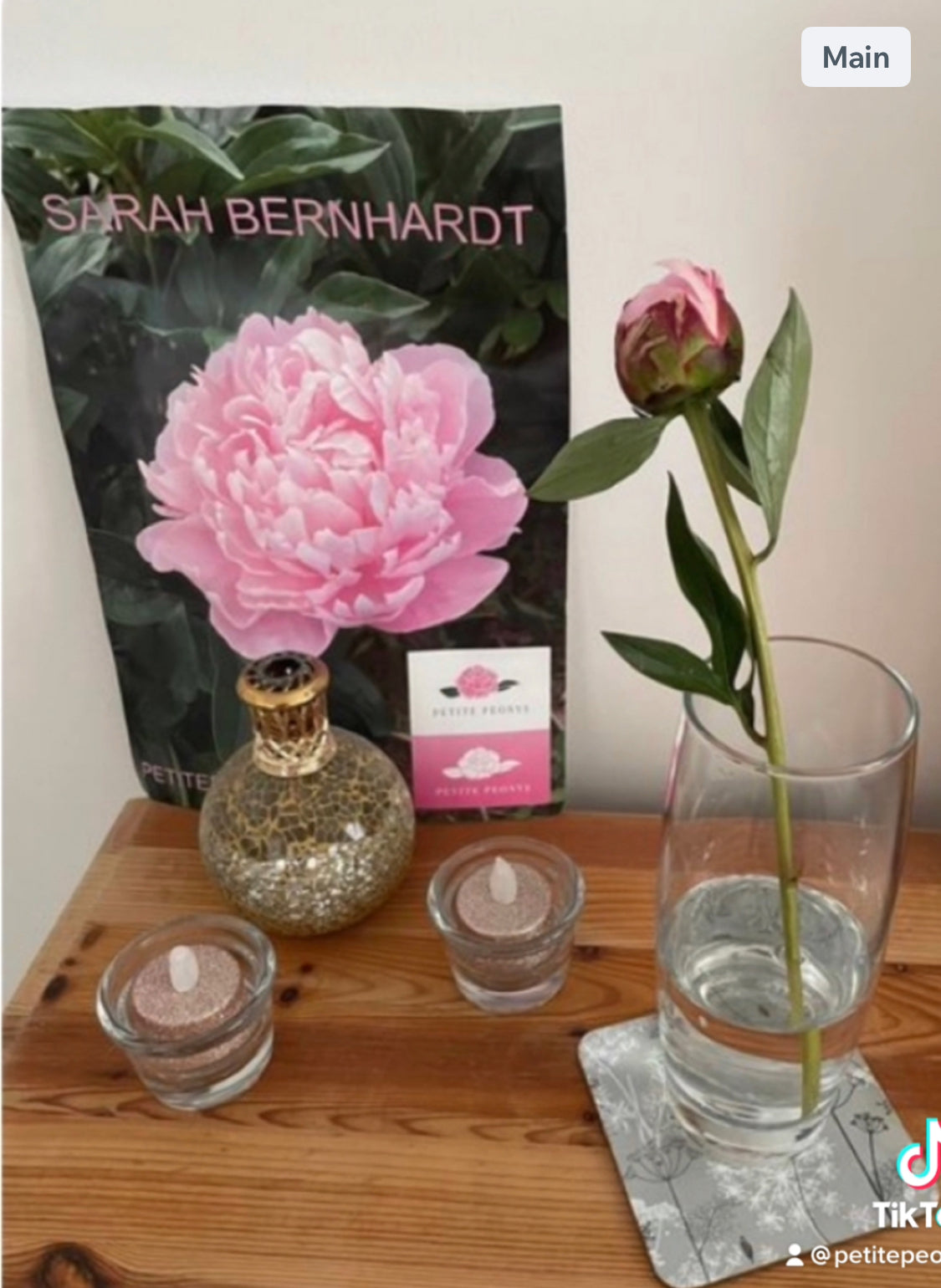Single Postage Peonies