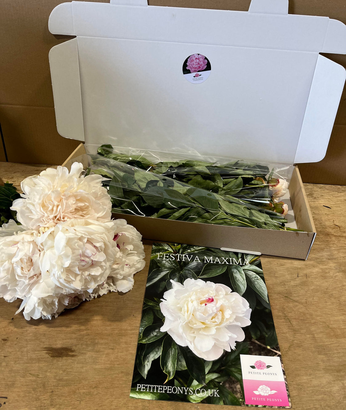 20 stem mixed box of peonies.