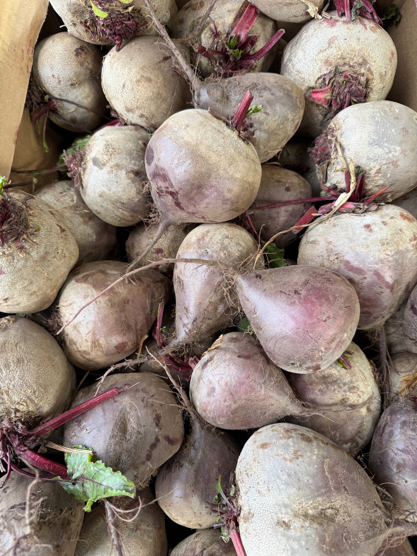 Beetroot
