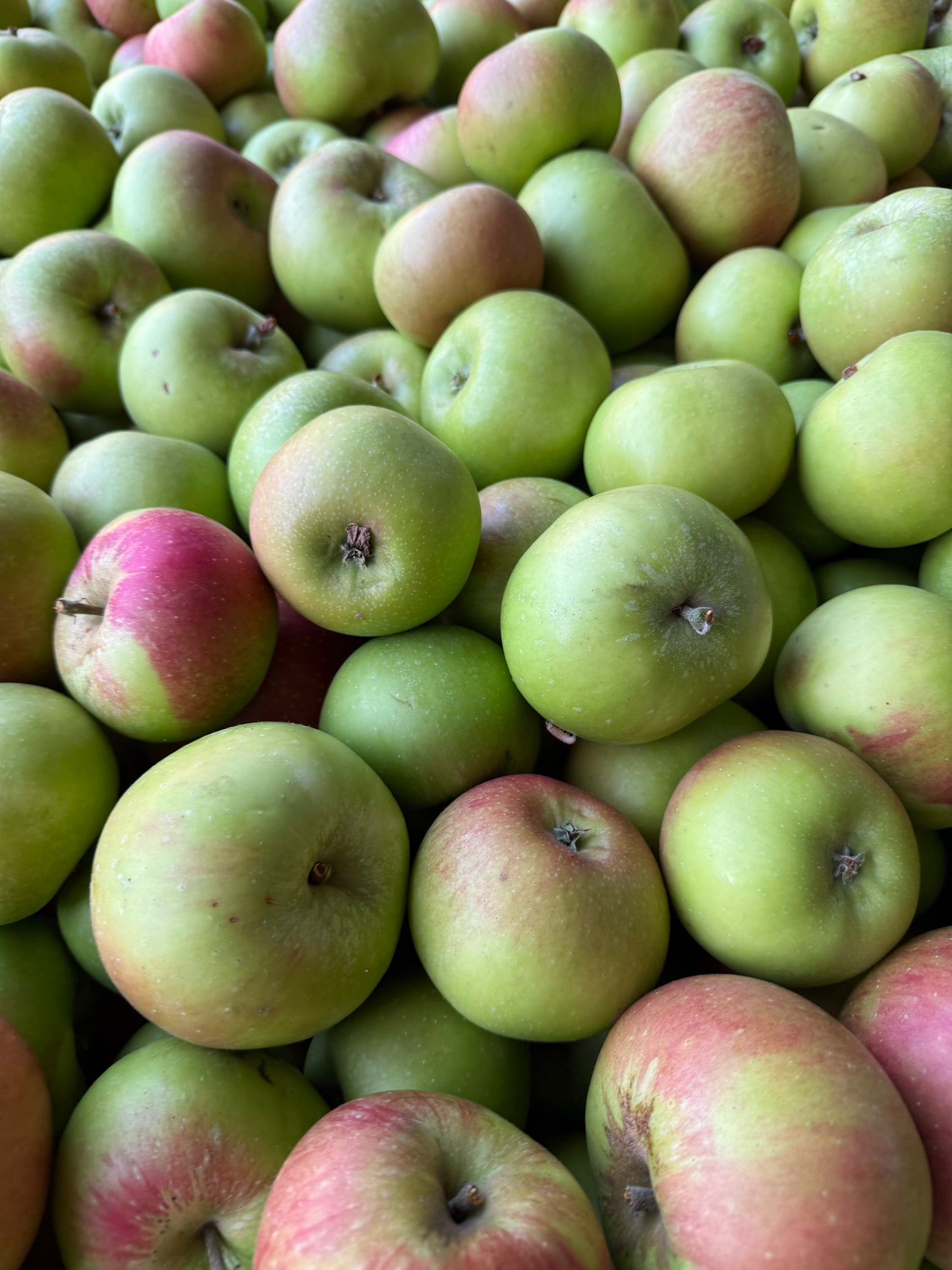 Apples and Pears
