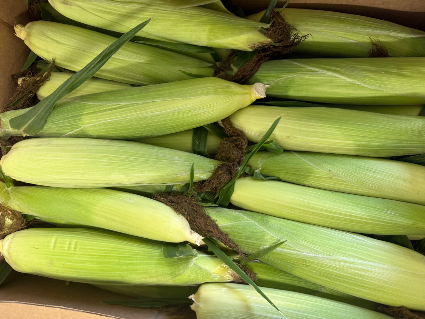 Sweetcorn each