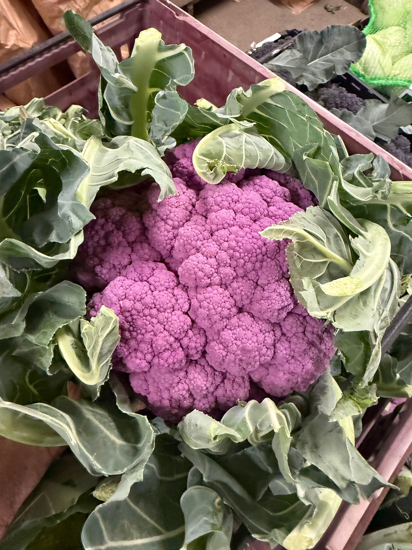 Cauliflower
