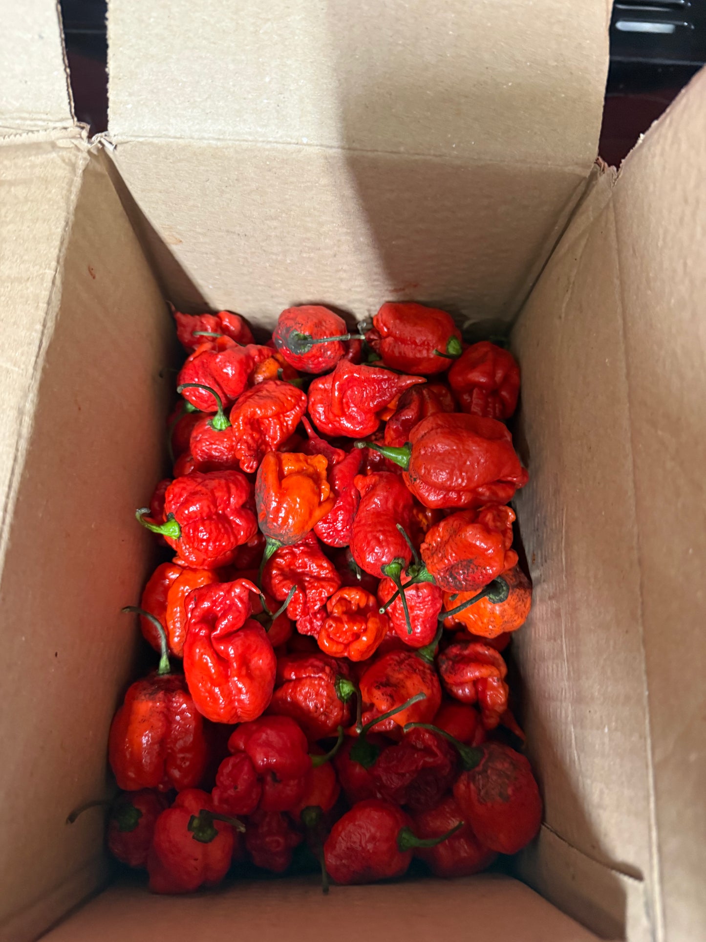 Chilli’s