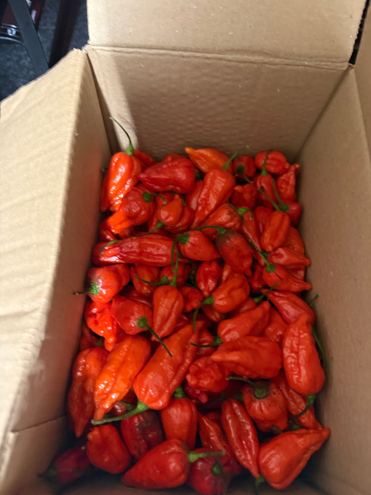 Chilli’s