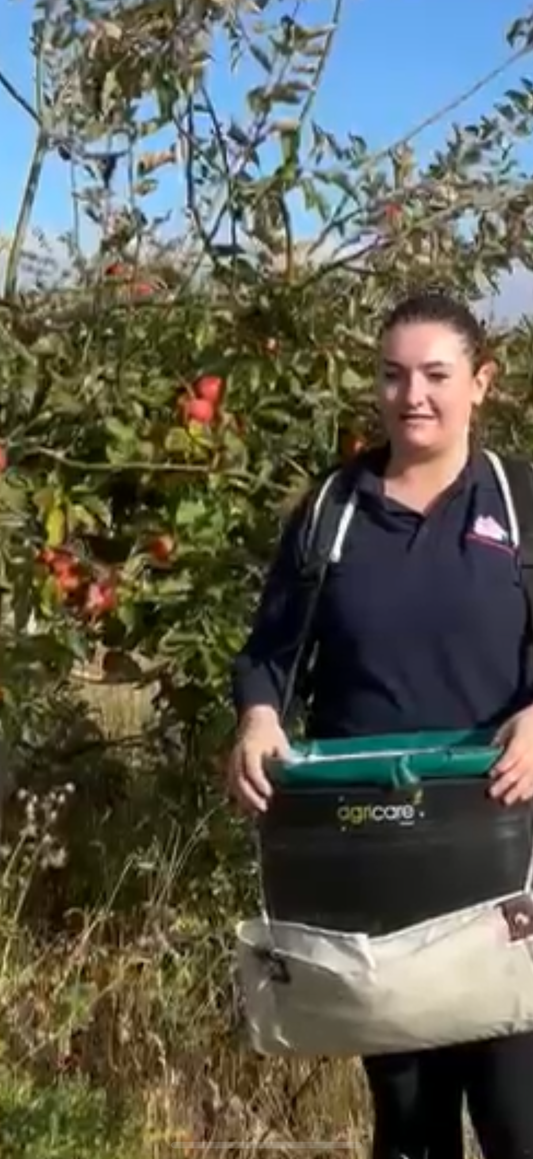Small eating apples over 5kg in a box delivered
