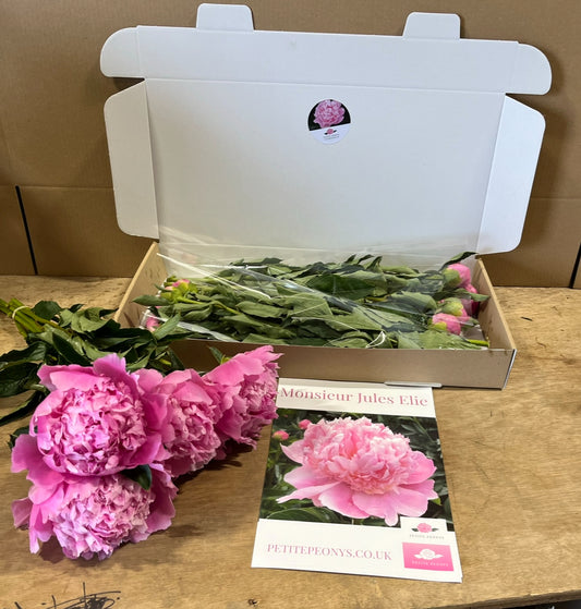 Pre-Sale 3 Peony Parcel Subscription Package