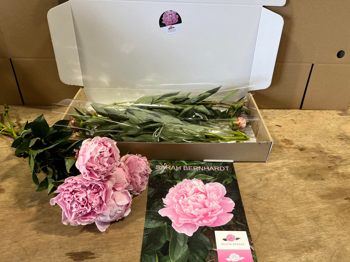 20 stem mixed box of peonies.